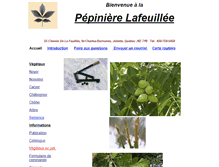 Tablet Screenshot of lafeuillee.com